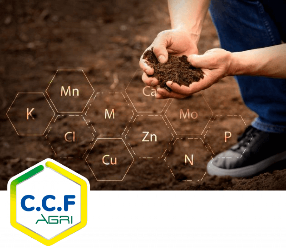 CCF AGRI, Votre partenaire pour une agriculture durable d&#039;excellence