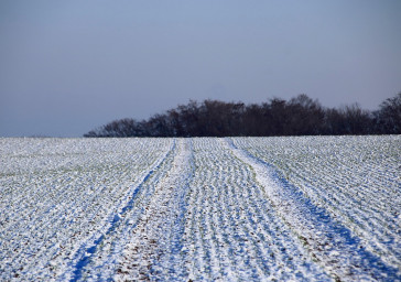 L&#039;Hivernage du Matériel Agricole : Une Étape Cruciale pour préserver sa Durabilité et son Efficacité