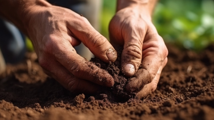 L&#039;importance de l&#039;analyse de sols avant l&#039;implantation des céréales d&#039;hiver