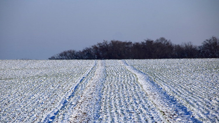 L&#039;Hivernage du Matériel Agricole : Une Étape Cruciale pour préserver sa Durabilité et son Efficacité