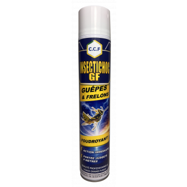 INSECTICHOC - insecticide choc guêpes et frelons, débit puissant, 750 ml