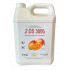 2 DS 3000 détergent désinfectant et surodorant mangue