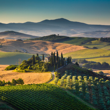 l&#039;agriculture et la viticulture