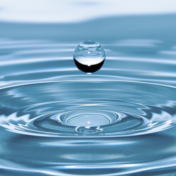 Traitement des Eaux & Effluents